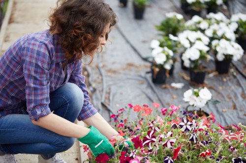 Garden service team at work, close-up of tools and planting