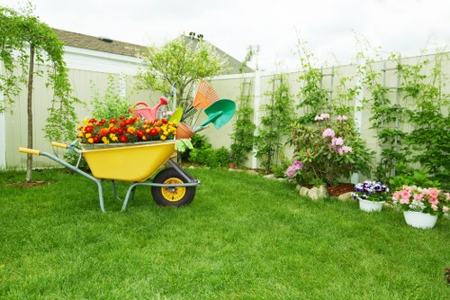 Professional tree lopping service in Marylebone