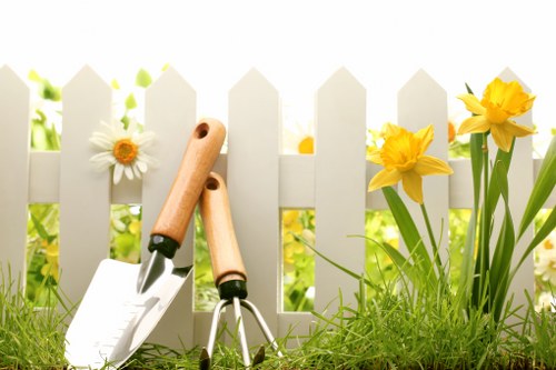 Eco-friendly lawn mowing practices in Marylebone