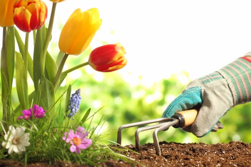 Professional lawn care team at work in Marylebone
