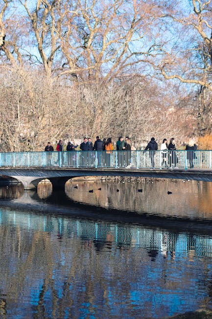 A group of people walk across a narrow, metal footbridge with vertical railings, spanning over a calm, reflective body of water in a park setting. In the background, large leafless trees with textured